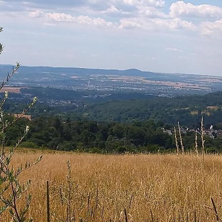 Ferienwohnung Im Naturpark Rhein-Westerwald Rengsdorf Экстерьер фото