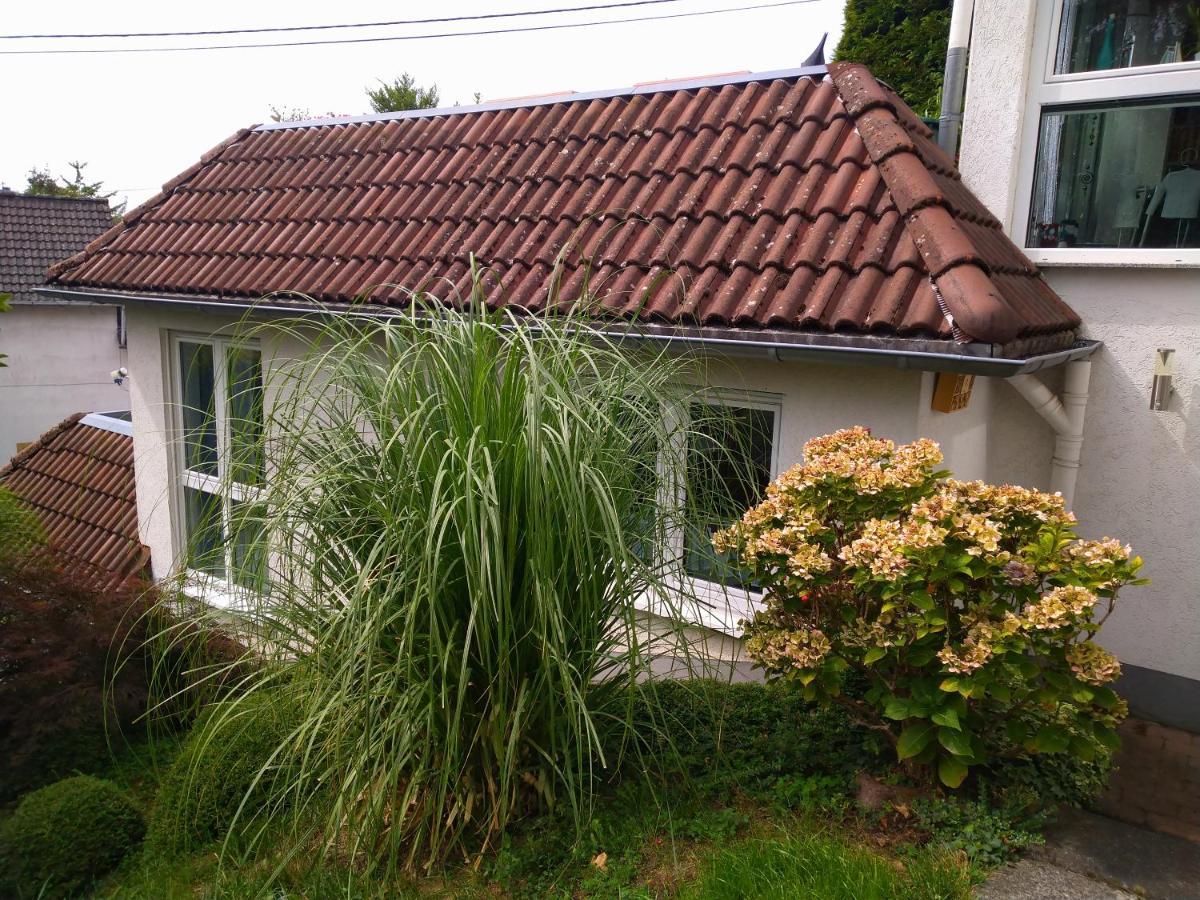 Ferienwohnung Im Naturpark Rhein-Westerwald Rengsdorf Экстерьер фото