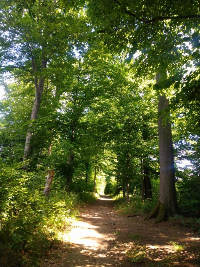 Ferienwohnung Im Naturpark Rhein-Westerwald Rengsdorf Экстерьер фото