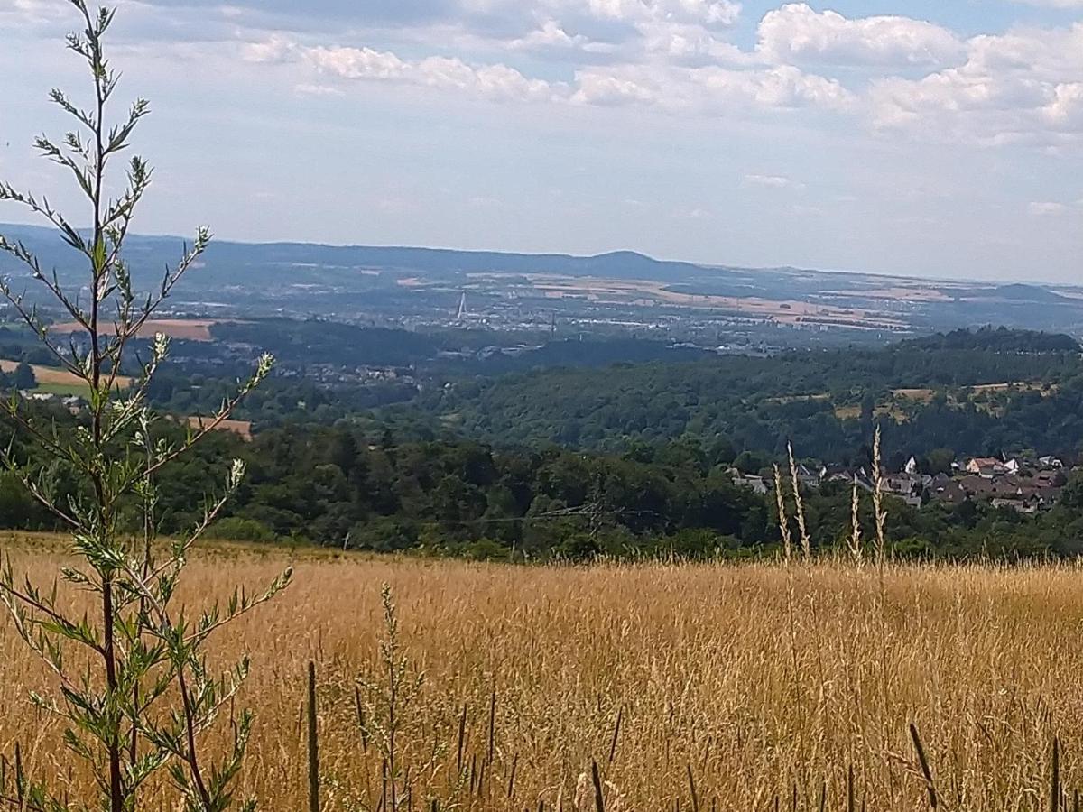 Ferienwohnung Im Naturpark Rhein-Westerwald Rengsdorf Экстерьер фото